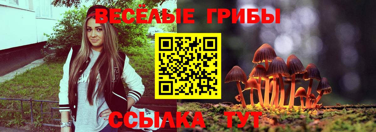 Псилоцибиновые грибы Psilocybe Муравленко